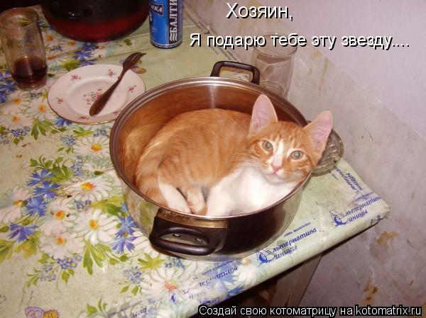 Котоматрица: Хозяин, Я подарю тебе эту звезду....