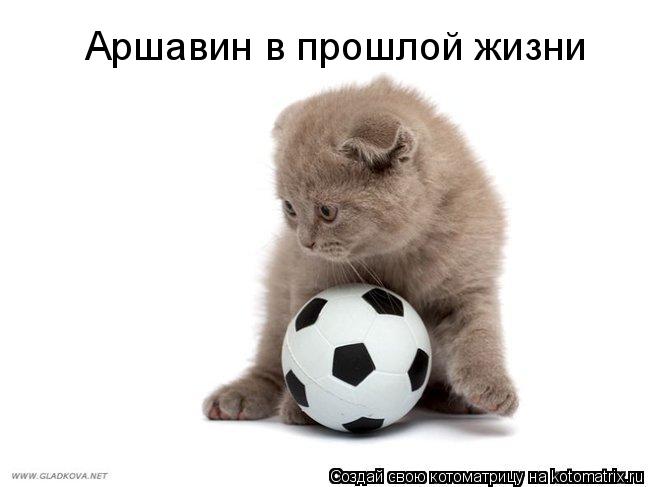 Котоматрица: Аршавин в прошлой жизни