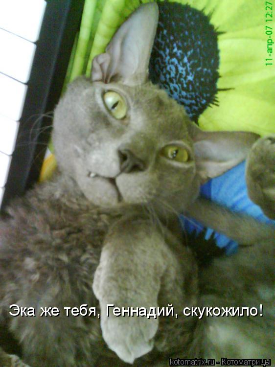 Котоматрица: Эка же тебя, Геннадий, скукожило!