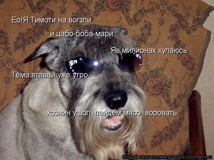Ео!Я Тимоти на вогзли и цабо-боба-мари Яв милионах купаюсь Тёма втавай уже утро хозяин ушол пайдём ... Котоматрица: Ео!Я Тимоти на вогзли и цабо-боба-мари Яв милионах купаюсь Тёма втавай уже утро хозяин ушол пайдём мясо воровать