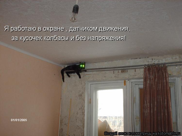 Я работаю в охране , датчиком движения, за кусочек колбасы и без напряжения!... Котоматрица: Я работаю в охране , датчиком движения, за кусочек колбасы и без напряжения!