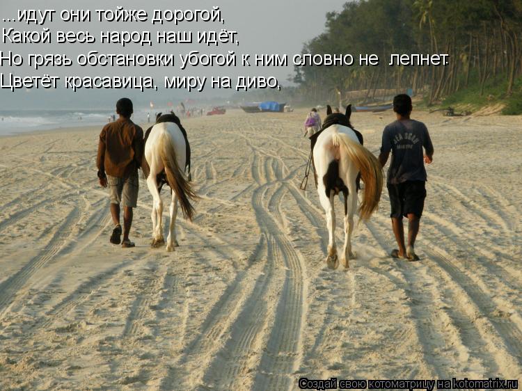 Котоматрица: ...идут они тойже дорогой,  Какой весь народ наш идёт, Но грязь обстановки убогой к ним словно не  лепнет . Цветёт красавица, миру на диво,
