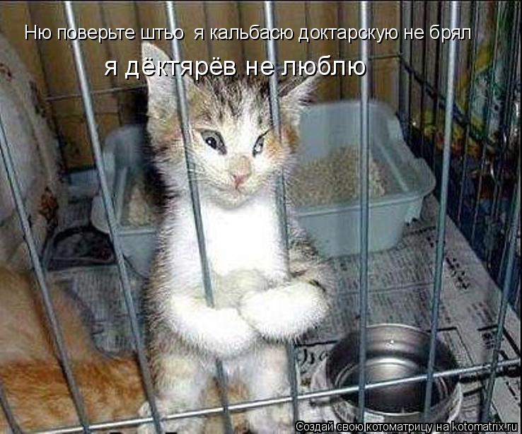 Ню поверьте штьо я кальбасю доктарскую не брял я дёктярёв не люблю... Котоматрица: Ню поверьте штьо я кальбасю доктарскую не брял я дёктярёв не люблю