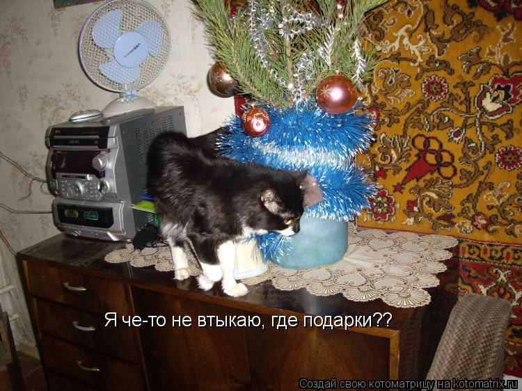 Котоматрица: Я че-то не втыкаю, где подарки??