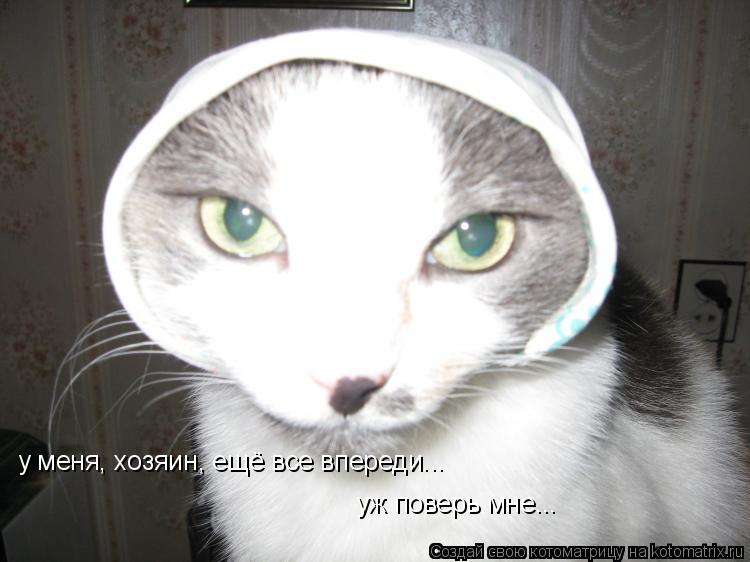 Котоматрица: у меня, хозяин, ещё все впереди... уж поверь мне...