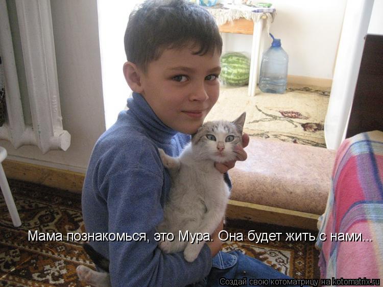 Котоматрица: Мама познакомься, это Мура. Она будет жить с нами...