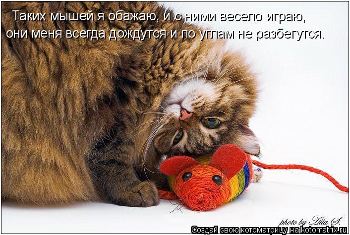 Таких мышей я обажаю, и с ними весело играю, они меня всегда дождутся и по углам не разбегутся.... Котоматрица: Таких мышей я обажаю, и с ними весело играю, они меня всегда дождутся и по углам не разбегутся.