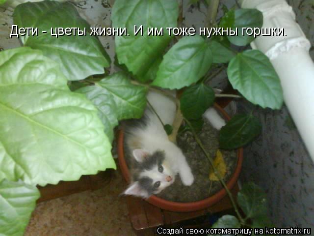 Котоматрица: Дети - цветы жизни. И им тоже нужны горшки.
