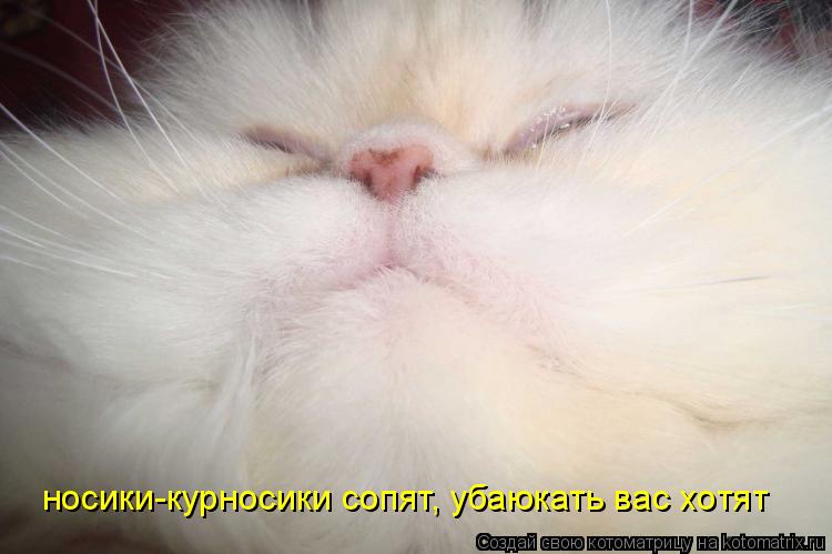 НОСИКИ КУРНОСИКИ СОПЯТ MP3 СКАЧАТЬ БЕСПЛАТНО НОСИКИ КУРНОСИКИ СОПЯТ MP3 СКАЧАТЬ БЕСПЛАТНО