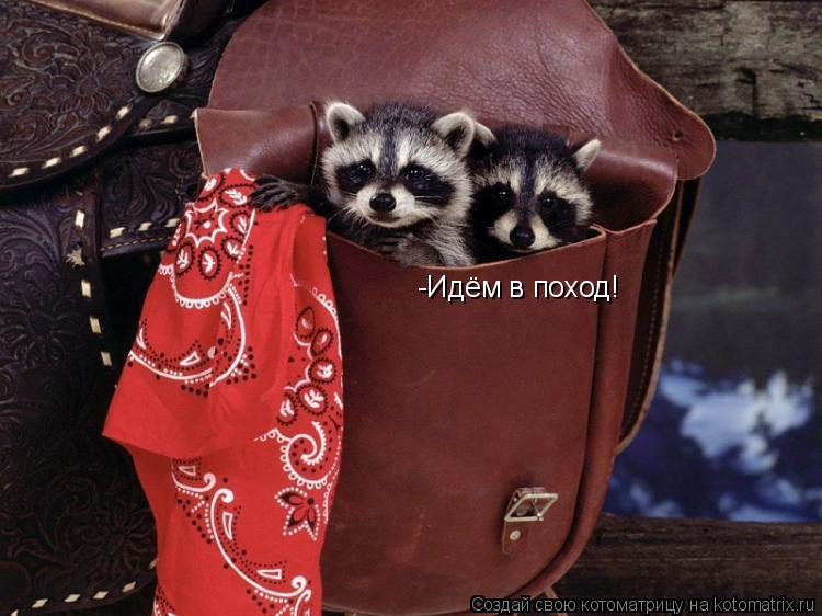 Котоматрица: -Идём в поход!