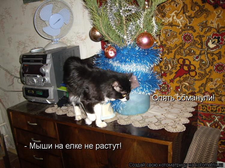 Котоматрица: Опять обманули!                               - Мыши на елке не растут!