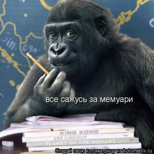 Котоматрица: как там янукович пишет професор или профессор все сажусь за мемуари