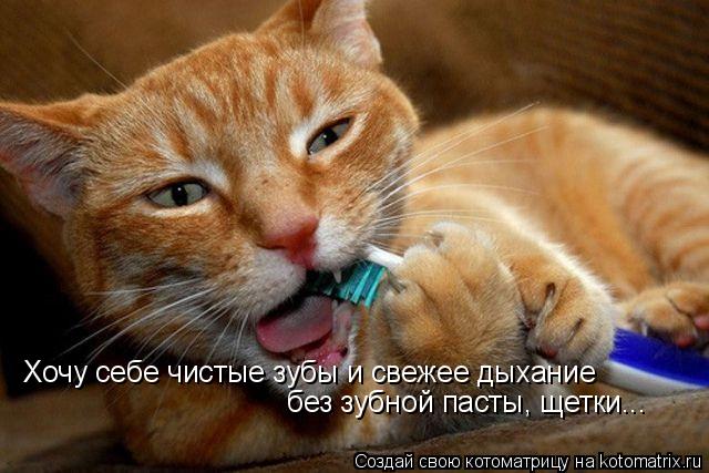 Котоматрица: Хочу себе чистые зубы и свежее дыхание без зубной пасты, щетки...