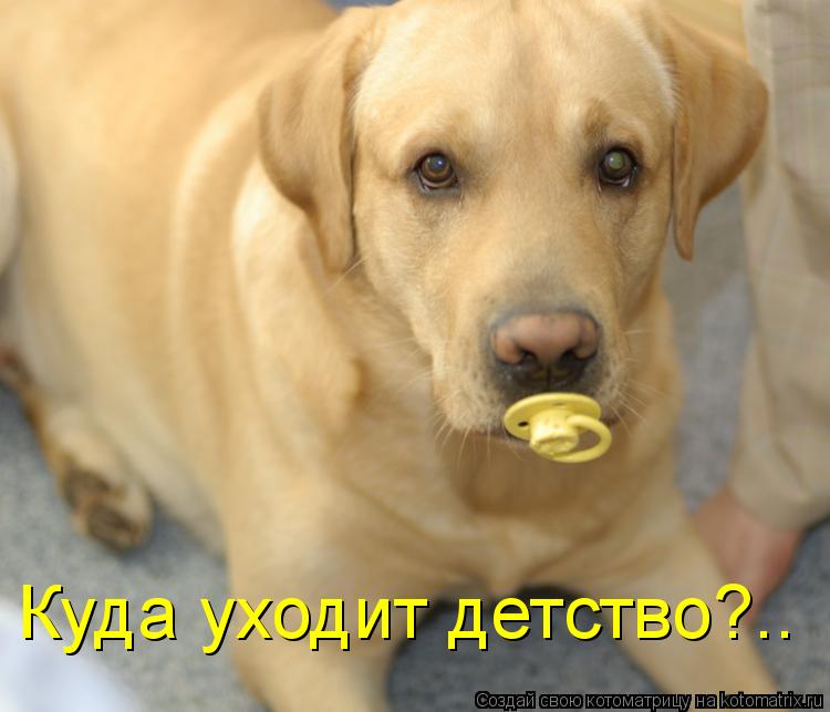 Куда уходит детство?..... Котоматрица: Куда уходит детство?..