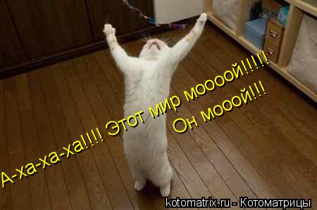 A-xa-xa-xa!!!! Этот мир моооой!!!!! Oн мооой!!!... Котоматрица: A-xa-xa-xa!!!! Этот мир моооой!!!!! Oн мооой!!!