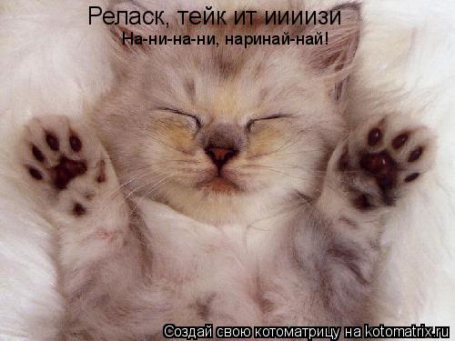 Котоматрица: Реласк, тейк ит иииизи На-ни-на-ни, наринай-най!
