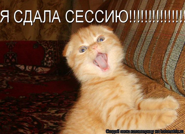 Котоматрица: Я СДАЛА СЕССИЮ!!!!!!!!!!!!!!!!!!!!!!!!!!!!!!!!!!!