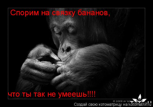 Котоматрица: Спорим на связку бананов,  что ты так не умеешь!!!!