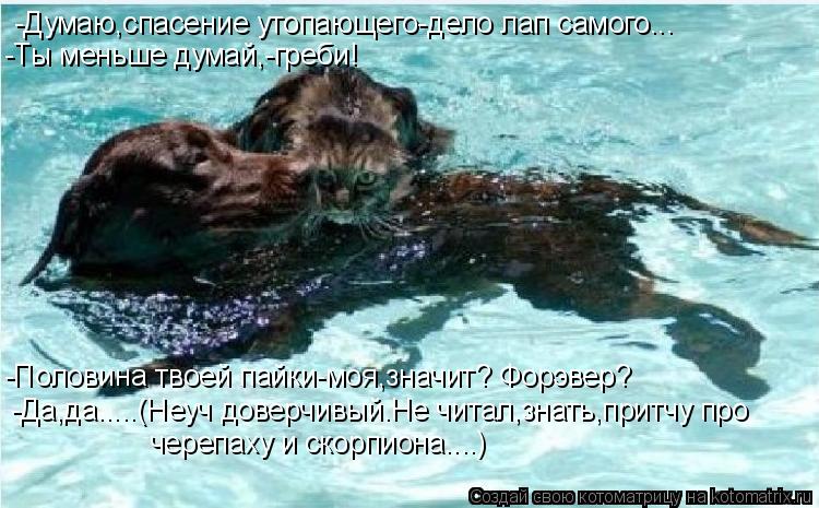 -Думаю,спасение утопающего-дело лап самого... -Ты меньше думай,-греби! -Половина твоей пайки-моя,знач... Котоматрица: -Думаю,спасение утопающего-дело лап самого... -Ты меньше думай,-греби! -Половина твоей пайки-моя,значит? Форэвер? -Да,да.....(Неуч доверчивый.Не ч