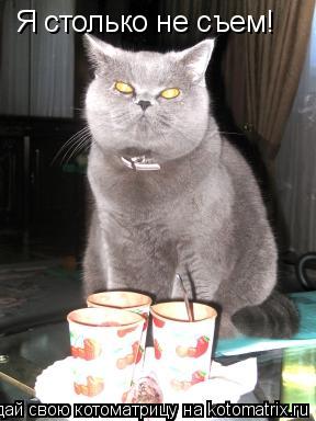 Котоматрица: Я столько не съем!