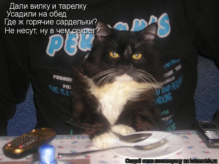 Котоматрица: Дали вилку и тарелку Усадили на обед Где ж горячие сардельки?  Не несут, ну в чем секрет?