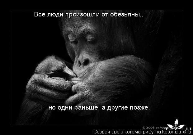 Котоматрица: Все люди произошли от обезьяны,.  но одни раньше, а другие позже.