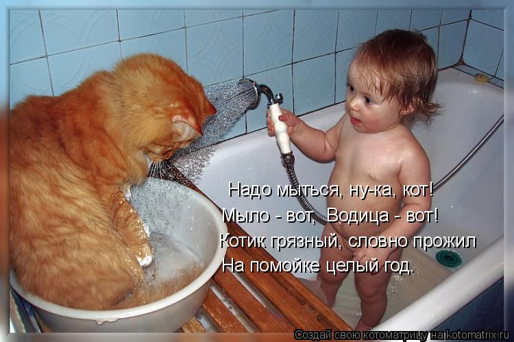 Надо мыться, ну-ка, кот! Мыло - вот, Водица - вот! Котик грязный, словно прожил На помойке цел... Котоматрица: Надо мыться, ну-ка, кот! Мыло - вот, Водица - вот! Котик грязный, словно прожил На помойке целый год.
