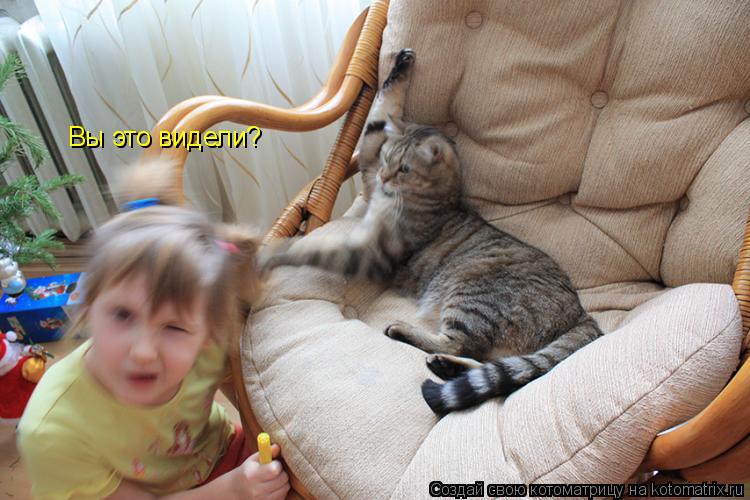 Котоматрица: Вы это видели?