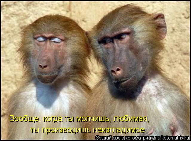 Вообще, когда ты молчишь, любимая, ты производишь неизгладимое.... Котоматрица: Вообще, когда ты молчишь, любимая, ты производишь неизгладимое.