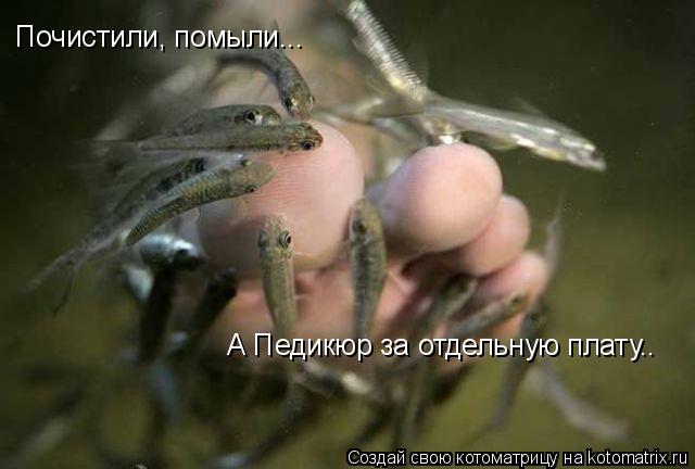Котоматрица: Почистили, помыли... А Педикюр за отдельную плату..