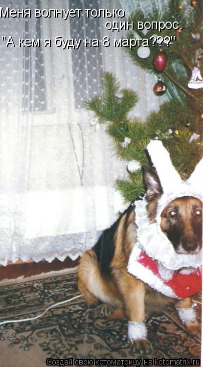 Меня волнует только один вопрос: "А кем я буду на 8 марта???"... Котоматрица: Меня волнует только один вопрос: "А кем я буду на 8 марта???"