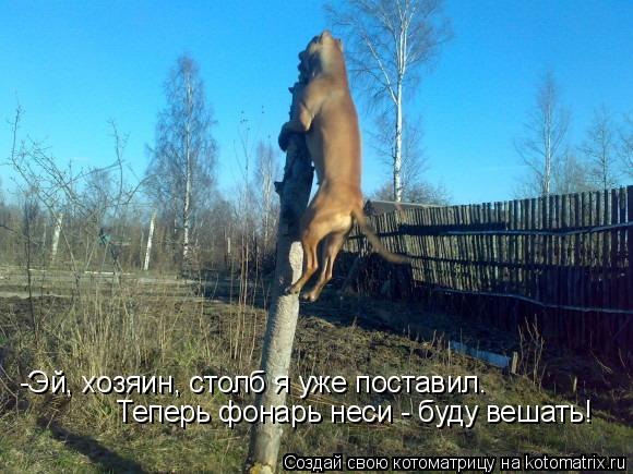 Котоматрица: -Эй, хозяин, столб я уже поставил.  Теперь фонарь неси - буду вешать!