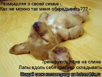 Тренируюсь лёжа на спине Лапы вдоль себя красиво складывать. Размышляя о своей семье - Как же можно т... Котоматрица: Тренируюсь лёжа на спине Лапы вдоль себя красиво складывать. Размышляя о своей семье - Как же можно так меня обкрадывать??? -