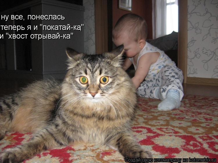 ну все, понеслась теперь я и "покатай-ка" , и "хвост отрывай-ка"... Котоматрица: ну все, понеслась теперь я и "покатай-ка" , и "хвост отрывай-ка"