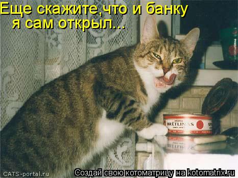 Еще скажите,что и банку я сам открыл...... Котоматрица: Еще скажите,что и банку я сам открыл...