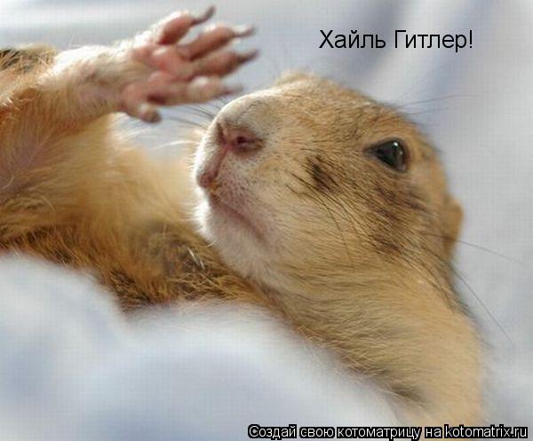 Да отстань ты со своими силами Да отстань ты со своими силами