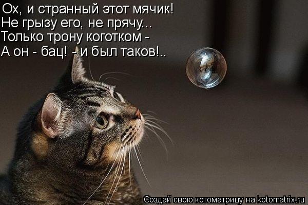 Ох, и странный этот мячик! Не грызу его, не прячу... Только трону коготком - А он - бац! - и был тако... Котоматрица: Ох, и странный этот мячик! Не грызу его, не прячу... Только трону коготком - А он - бац! - и был таков!..