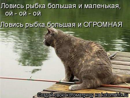Ловись рыбка большая и маленькая, ой - ой - ой Ловись рыбка большая и ОГРОМНАЯ... Котоматрица: Ловись рыбка большая и маленькая, ой - ой - ой Ловись рыбка большая и ОГРОМНАЯ