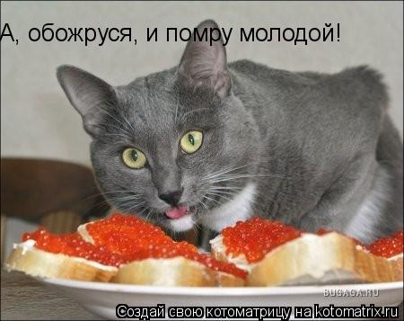 Обсуждаем новогоднее меню 2017