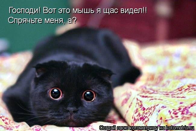 Котоматрица: Господи! Вот это мышь я щас видел!! Спрячьте меня, а?