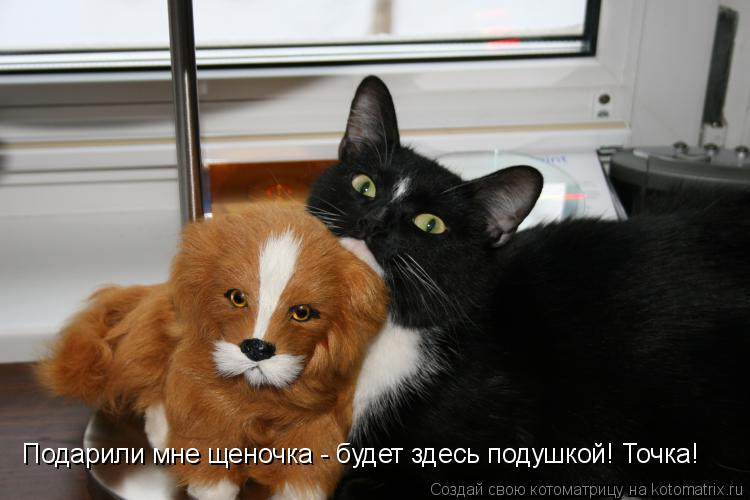 Подари мне щеночка Подари мне щеночка