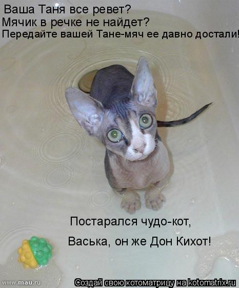 Ваша Таня все ревет? Мячик в речке не найдет? Постарался чудо-кот, Передайте вашей Тане-мяч ее давн... Котоматрица: Ваша Таня все ревет? Мячик в речке не найдет? Постарался чудо-кот, Передайте вашей Тане-мяч ее давно достали! Васька, он же Дон Кихот!