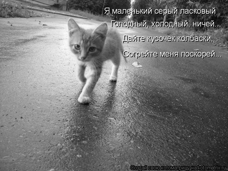 Дворовые и блатные песни - a-pesni. org Государственное бюджетное общеобразовательное учреждение