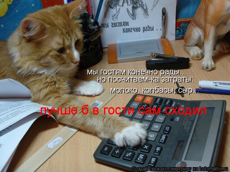 мы гостям конечно рады... но посчитаем-ка затраты: молоко, колбасы, сыр... лучше б в гости сам схо... Котоматрица: мы гостям конечно рады... но посчитаем-ка затраты: молоко, колбасы, сыр... лучше б в гости сам сходил