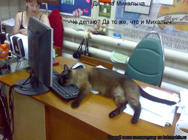 -Да, я за Михалыча... -Че делаю? Да то же, что и Михалыч...... Котоматрица: -Да, я за Михалыча... -Че делаю? Да то же, что и Михалыч...