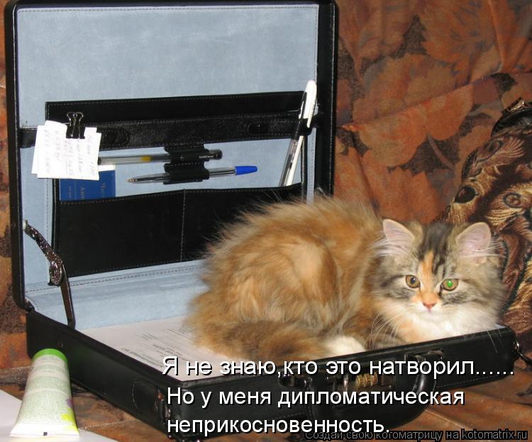Я не знаю,кто это натворил...... неприкосновенность. Но у меня дипломатическая... Котоматрица: Я не знаю,кто это натворил...... неприкосновенность. Но у меня дипломатическая