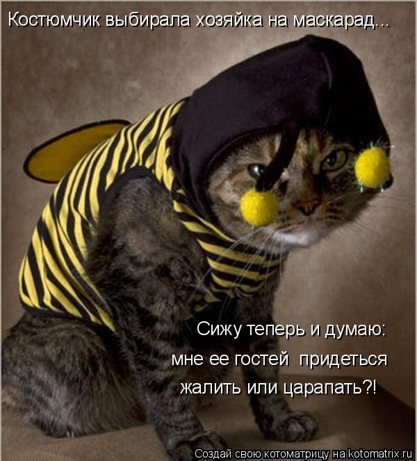 Сижу теперь и думаю: Костюмчик выбирала хозяйка на маскарад... мне ее гостей придеться жалить или ц... Котоматрица: Сижу теперь и думаю: Костюмчик выбирала хозяйка на маскарад... мне ее гостей придеться жалить или царапать?!