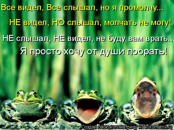 Все видел, Все слышал, но я промолчу... НЕ видел, НО слышал, молчать не могу! НЕ слышал, НЕ видел, не... Котоматрица: Все видел, Все слышал, но я промолчу... НЕ видел, НО слышал, молчать не могу! НЕ слышал, НЕ видел, не буду вам врать... Я просто хочу от души поора