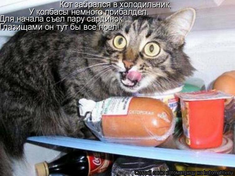 Котоматрица: Кот забрался в холодильник,   У колбасы немного прибалдел.  Для начала съел пару сардинок…   Глазищами он тут бы все поел!