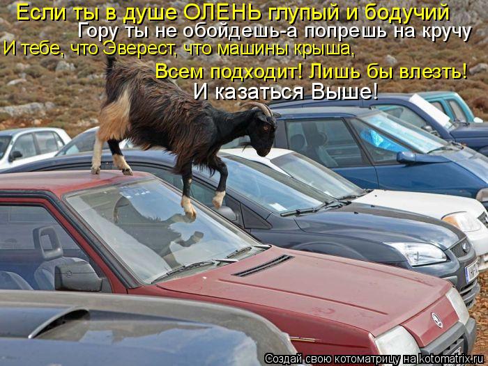 Гору ты не обойдешь-а попрешь на кручу И тебе, что Эверест, что машины крыша, Всем подходит! Лишь бы ... Котоматрица: Гору ты не обойдешь-а попрешь на кручу И тебе, что Эверест, что машины крыша, Всем подходит! Лишь бы влезть! Если ты в душе ОЛЕНЬ глупый и боду
